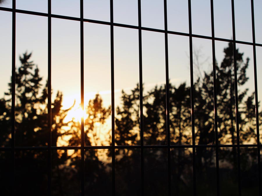 metal fence