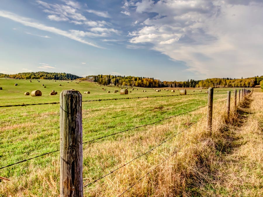 wire fence around field